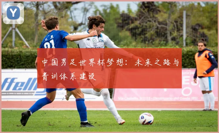 中国男足世界杯梦想：未来之路与青训体系建设