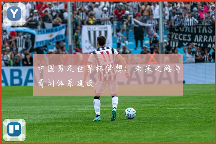 中国男足世界杯梦想：未来之路与青训体系建设